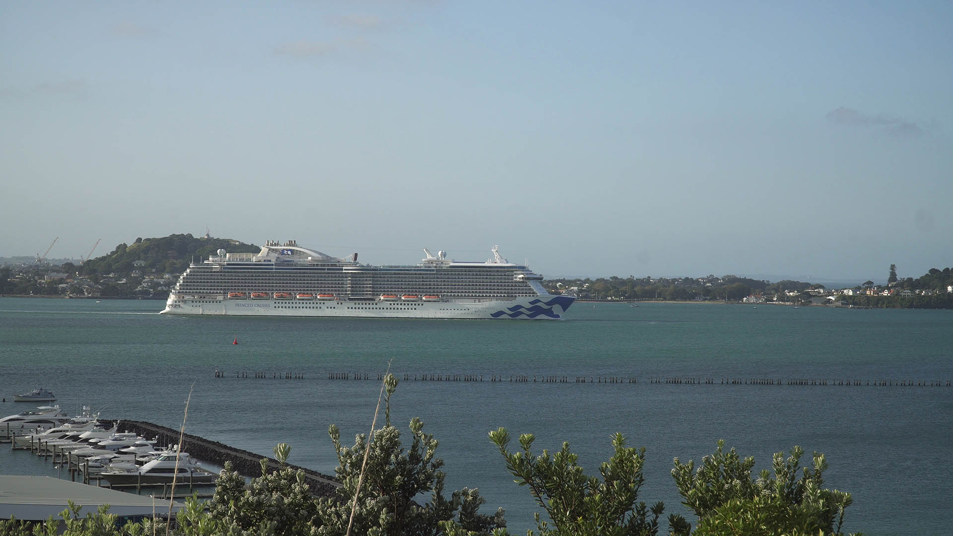 Majestic Princess